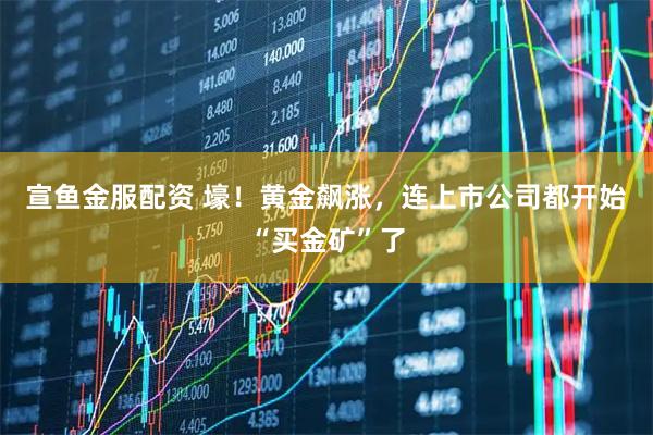 宣鱼金服配资 壕！黄金飙涨，连上市公司都开始“买金矿”了