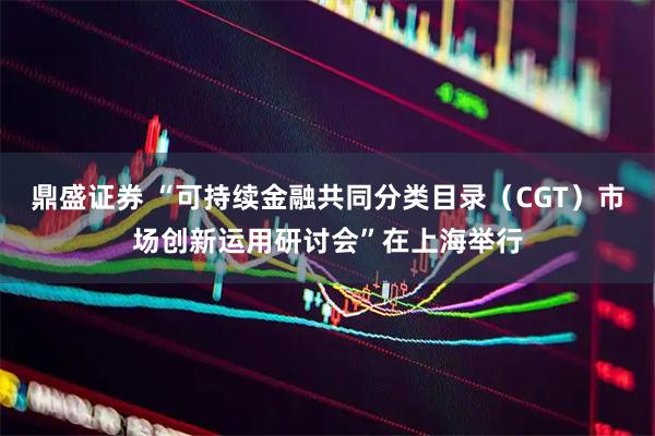 鼎盛证券 “可持续金融共同分类目录（CGT）市场创新运用研讨会”在上海举行