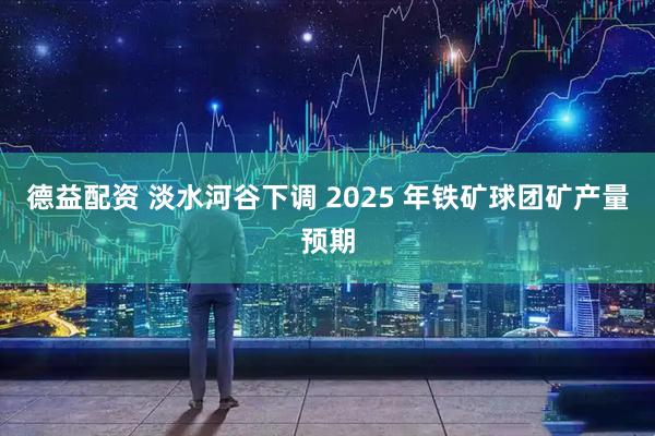 德益配资 淡水河谷下调 2025 年铁矿球团矿产量预期