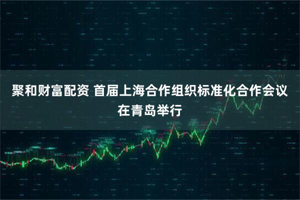 聚和财富配资 首届上海合作组织标准化合作会议在青岛举行