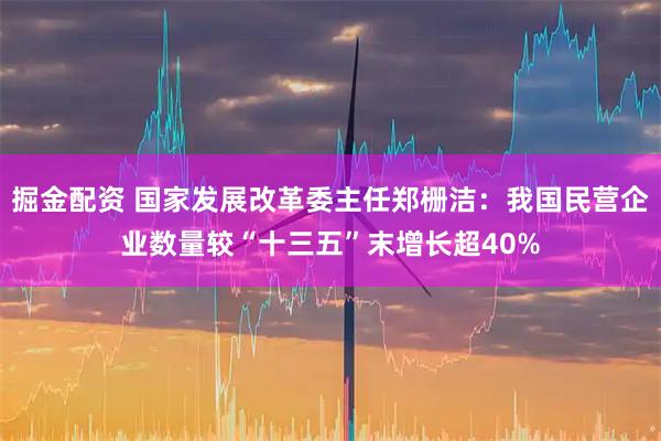 掘金配资 国家发展改革委主任郑栅洁：我国民营企业数量较“十三五”末增长超40%