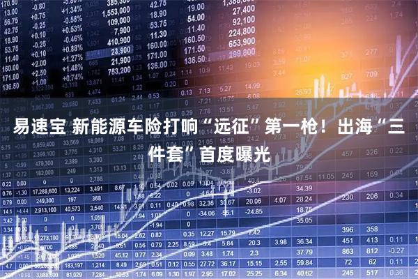 易速宝 新能源车险打响“远征”第一枪！出海“三件套”首度曝光