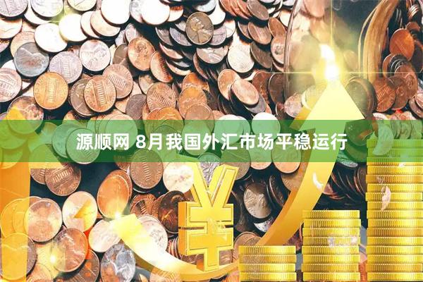 源顺网 8月我国外汇市场平稳运行